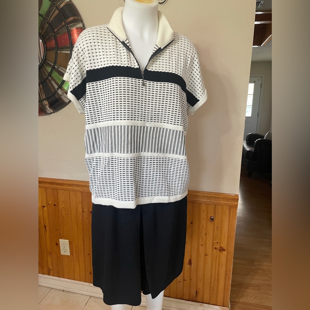 St. John Skort Set - Picture 7 of 9
